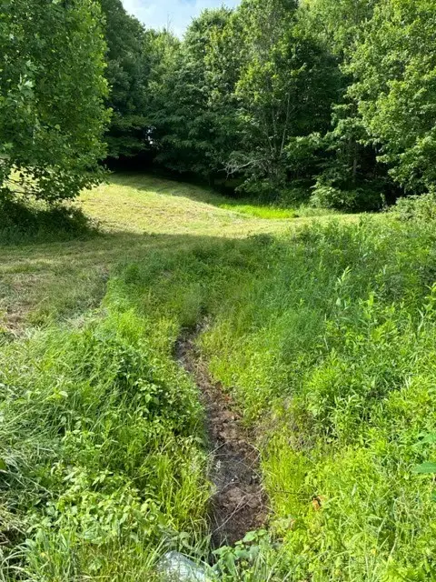 TBD Comers Rock Rd., Elk Creek, VA 24326 - #2