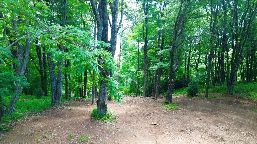 TBD Mountain Song Road, Blowing Rock, NC 28605 - #2