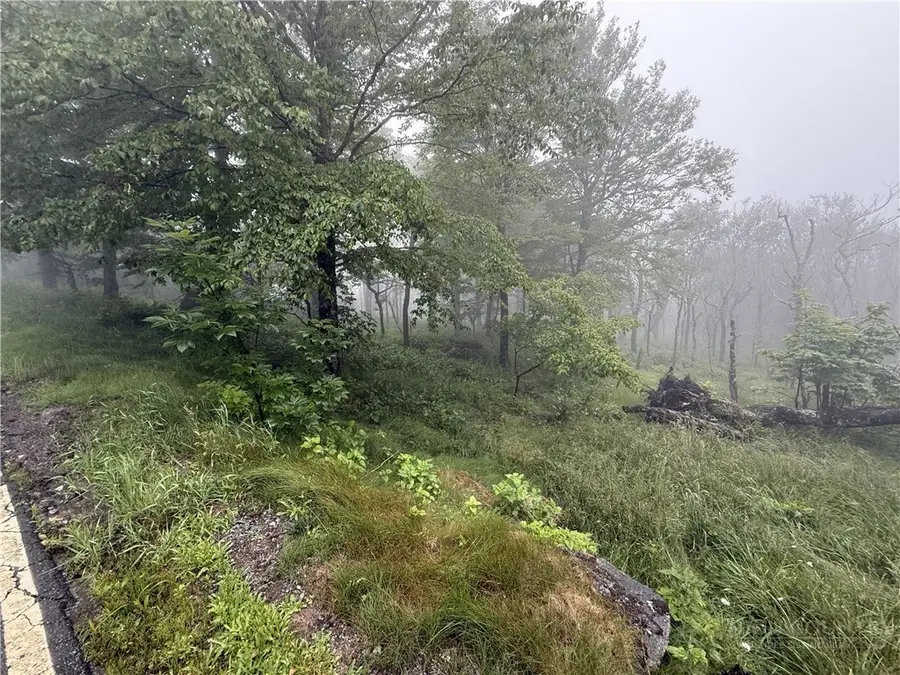 TBD (C6) Oz Circle Extension, Beech Mountain, NC 28604 - #2