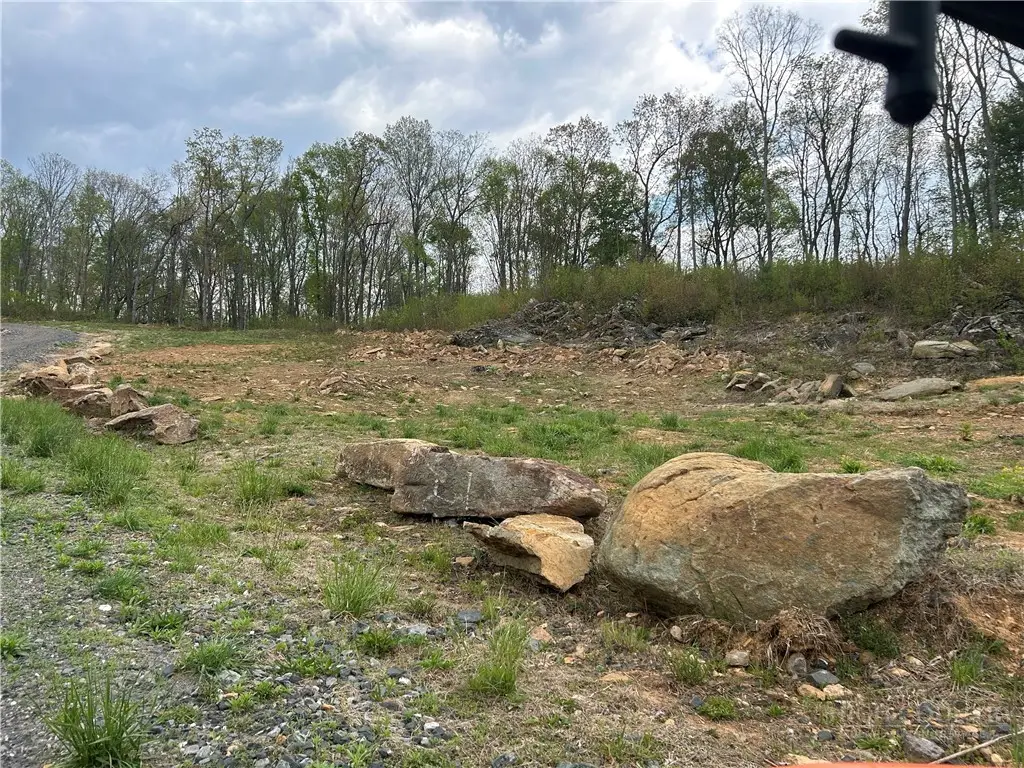 TBD Grant Houck, Todd, NC 28684 - #1