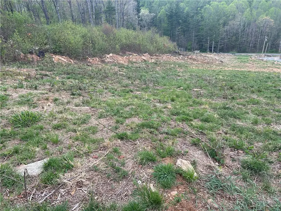 TBD Grant Houck, Todd, NC 28684 - #2