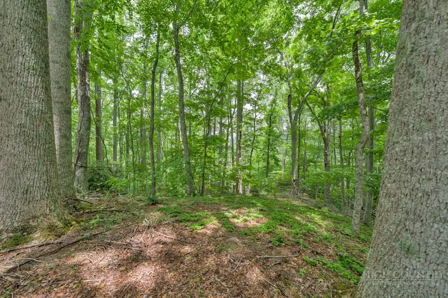 B & C Lost Branch Trail, Vilas, NC 28692 - #2