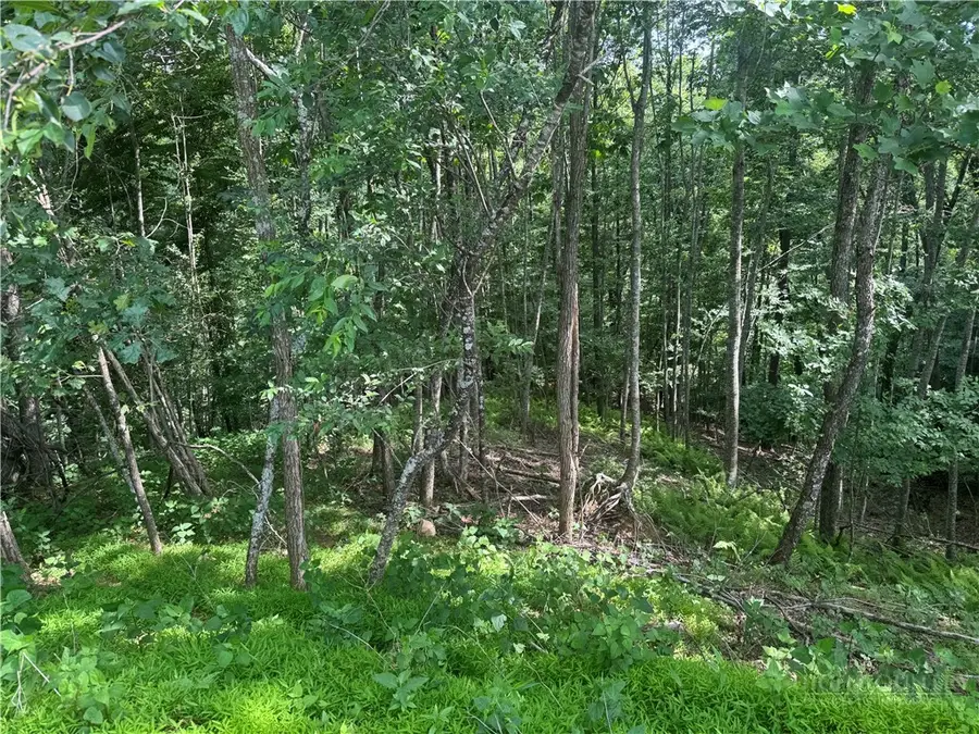 TBD Woodview Drive, West Jefferson, NC 28694 - #2