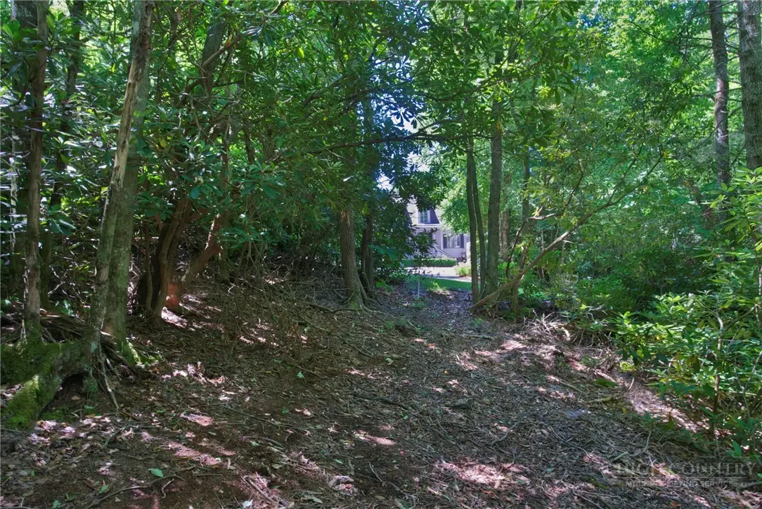 Lot 24 Red Wolf, Blowing Rock, NC 28605 - #1