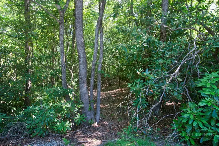Lot 24 Red Wolf, Blowing Rock, NC 28605 - #2