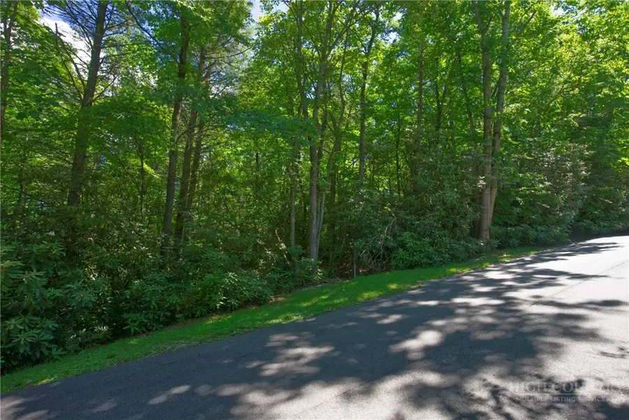 Lot 24 Red Wolf, Blowing Rock, NC 28605 - #3