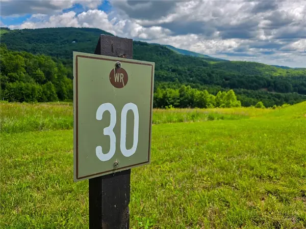 30 Wilderness Watch Trace, Deep Gap, NC 28618