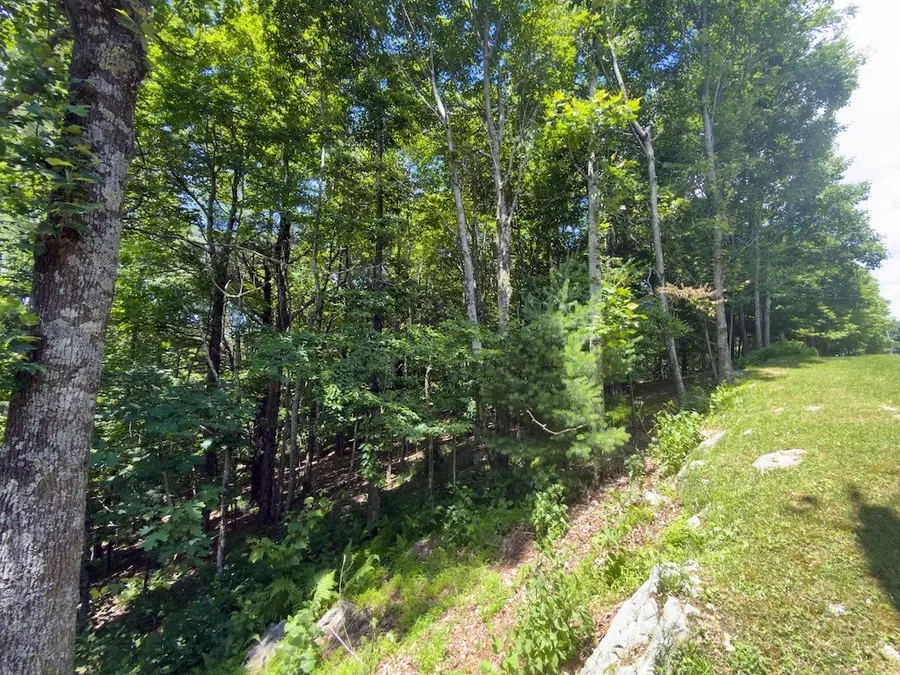 TBD Grandview Dr. Extension, Boone, NC 28607 - #3
