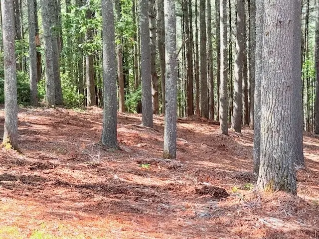 Lot 37 Smoke Rise Path, West Jefferson, NC 28694 - #3