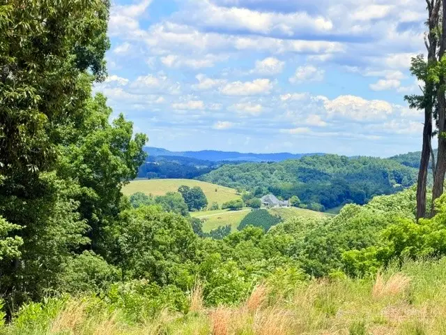 TBD (3.28 Acres) Cox Road, Jefferson, NC 28640 - #3