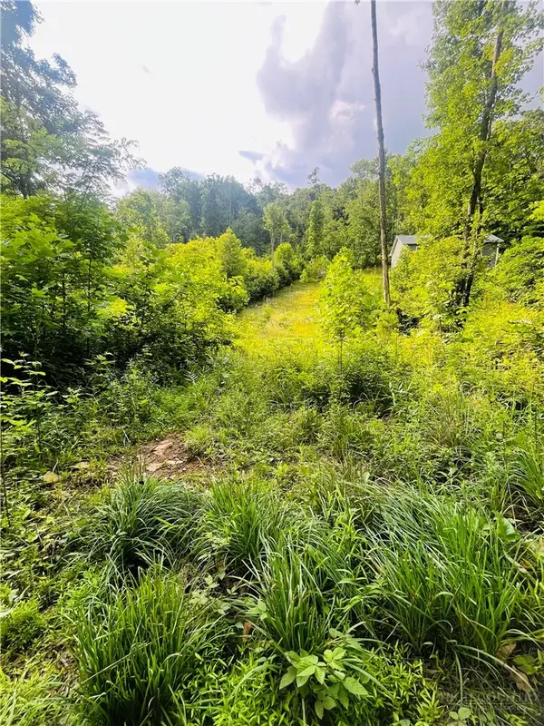 TBD Woodstown Road, Fleetwood, NC 28626