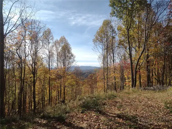 TBD N Us Hwy 421, Zionville, NC 28698