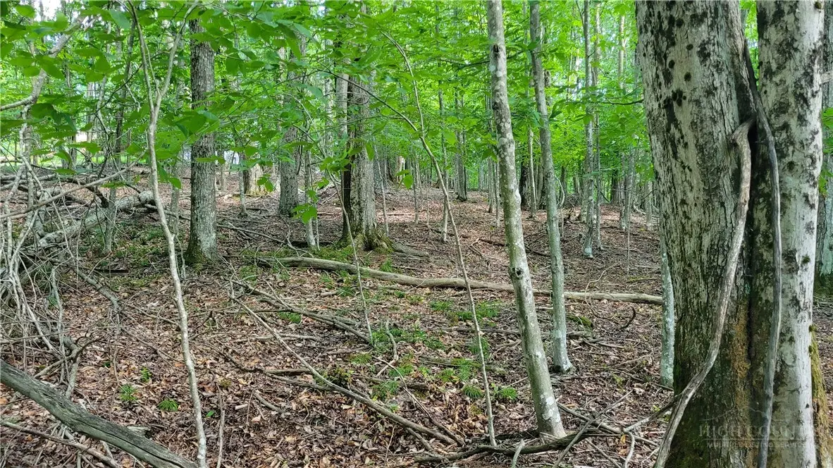 215 Overbrook Trail, Beech Mountain, NC 28604 - #1