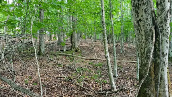 215 Overbrook Trail, Beech Mountain, NC 28604