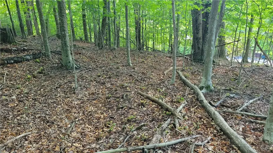 215 Overbrook Trail, Beech Mountain, NC 28604 - #2