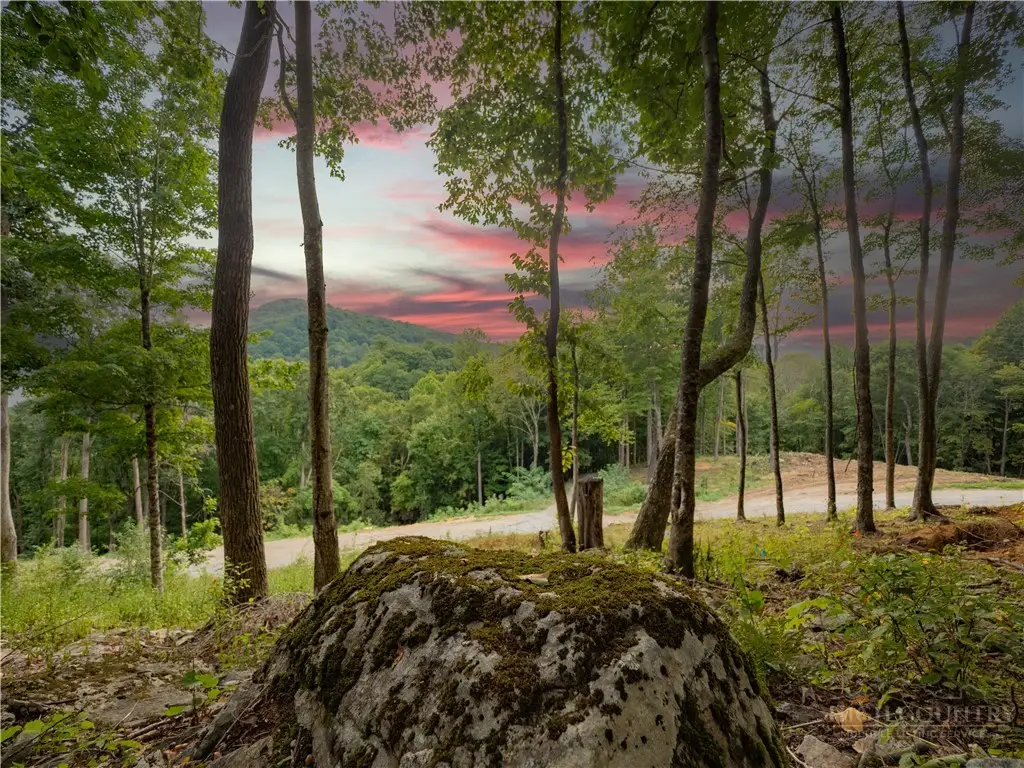 C120 Springwater Lane, Banner Elk, NC 28604 - #1