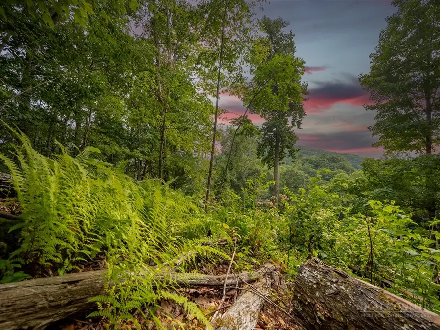 C120 Springwater Lane, Banner Elk, NC 28604 - #2