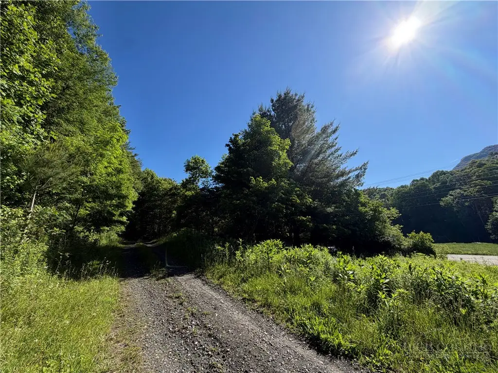 TBD W Crestview Drive, Creston, NC 28615 - #1