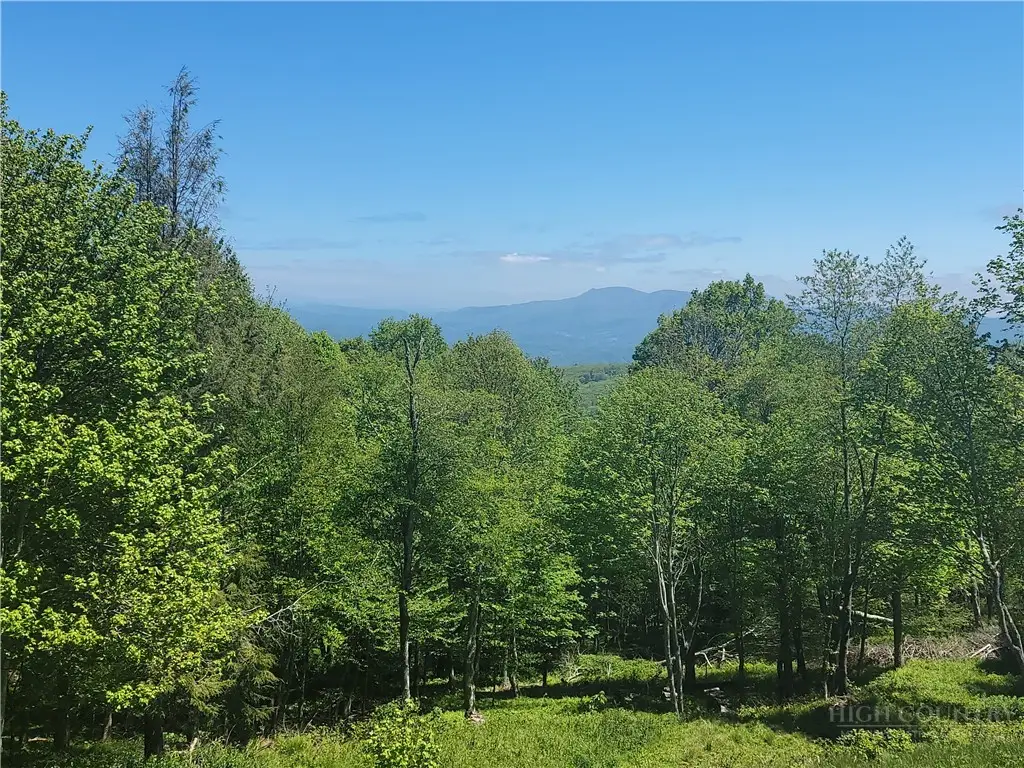 TBD Foxfire Drive, Banner Elk, NC 28604 - #1