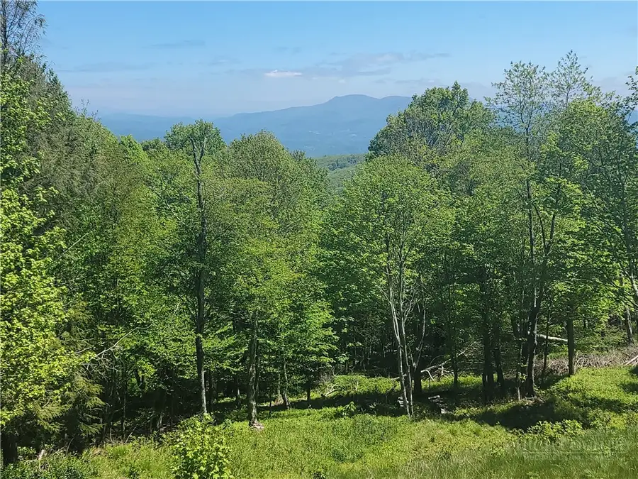 TBD Foxfire Drive, Banner Elk, NC 28604 - #2