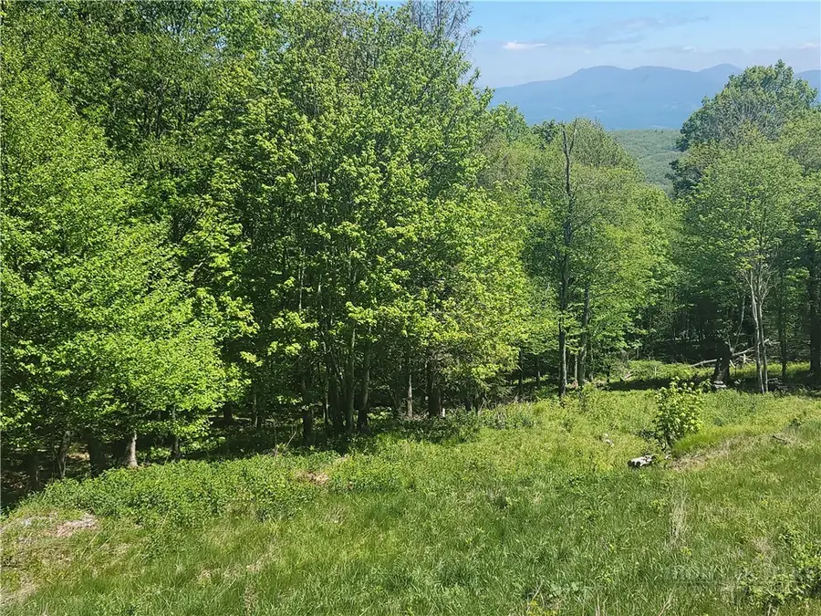 TBD Foxfire Drive, Banner Elk, NC 28604 - #3