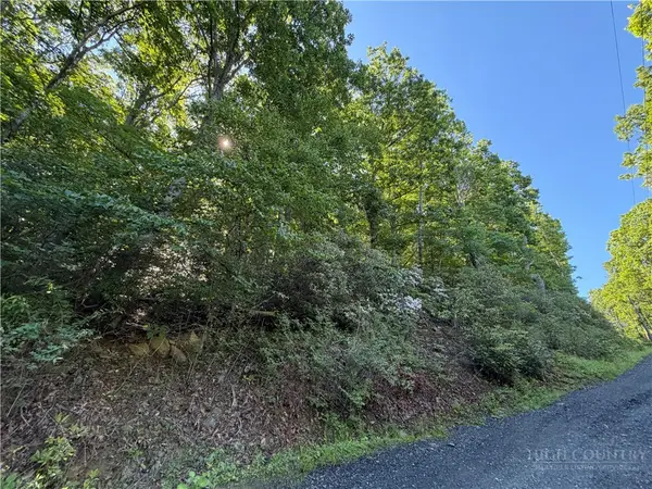 TBD Indian Lake Drive, West Jefferson, NC 28694