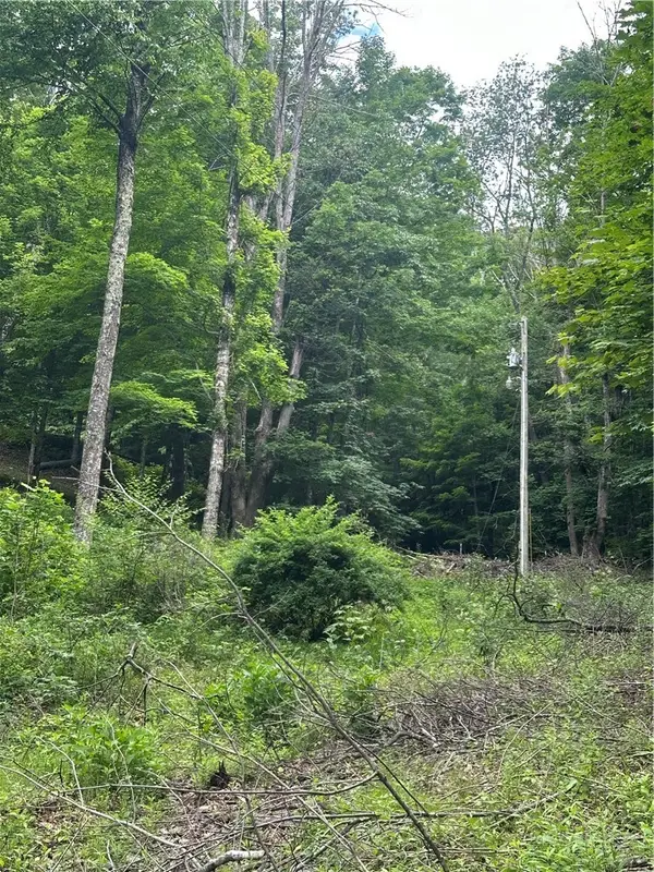 TBD Chestnut Grove Road, Boone, NC 28607