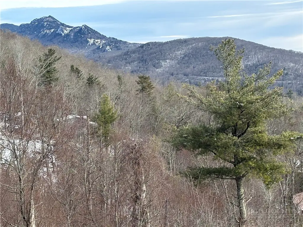 Lot 69 Linhigh Drive, Linville, NC 28646 - #1