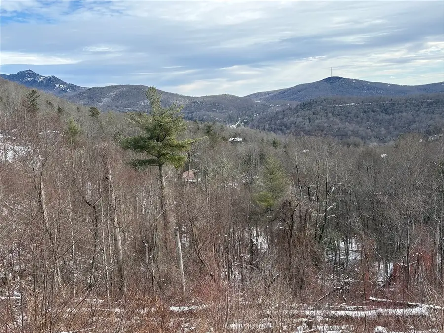 Lot 69 Linhigh Drive, Linville, NC 28646 - #2