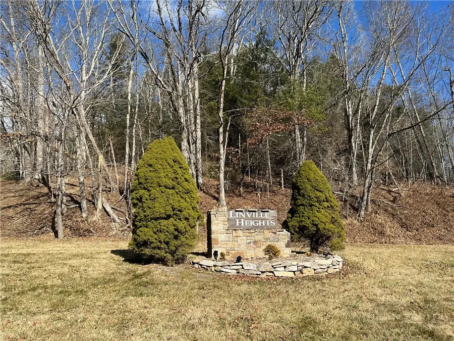 Lot 69 Linhigh Drive, Linville, NC 28646 - #3