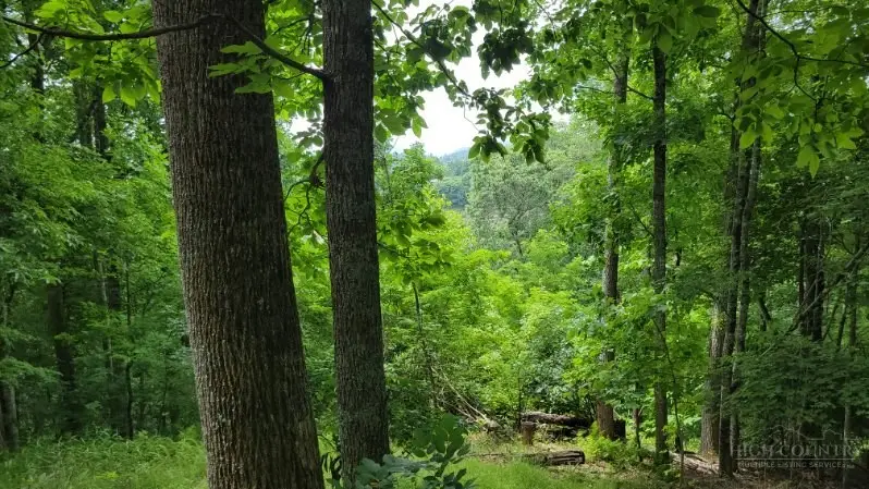 102 Ginger Hollow Road, Newland, NC 28657 - #3