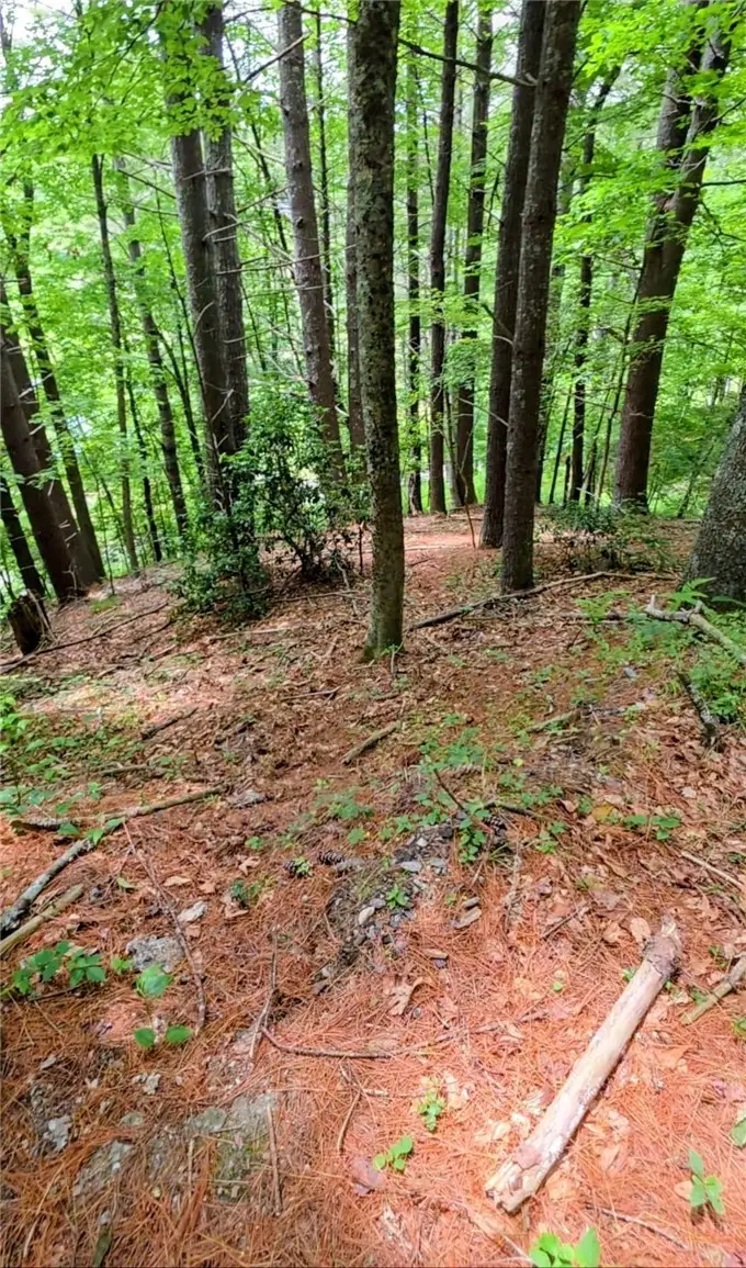 TBD New River Farms Road, Fleetwood, NC 28626 - #2