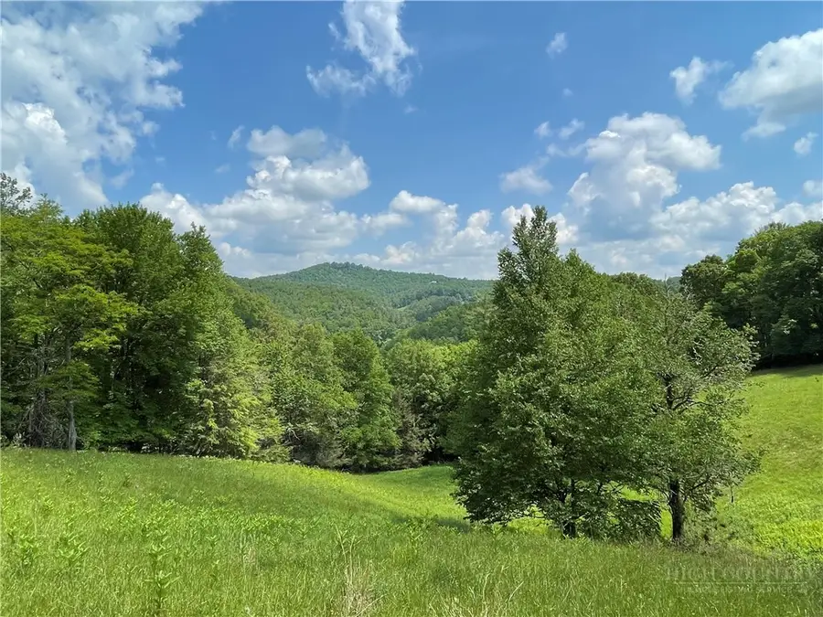 TBD Castle Ford Road, Boone, NC 28607 - #3