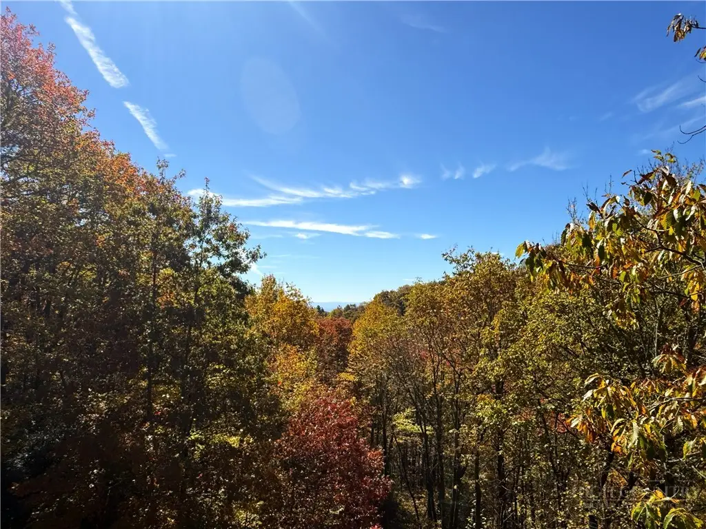 Lot 61 Boone Coffey Trail, Boone, NC 28607 - #1
