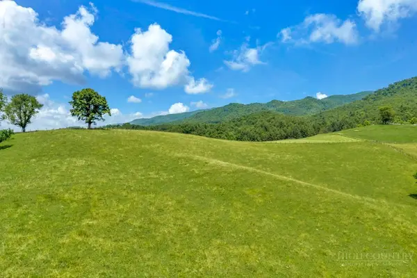tbd Locust Gap Road, Mountain City, TN 37683