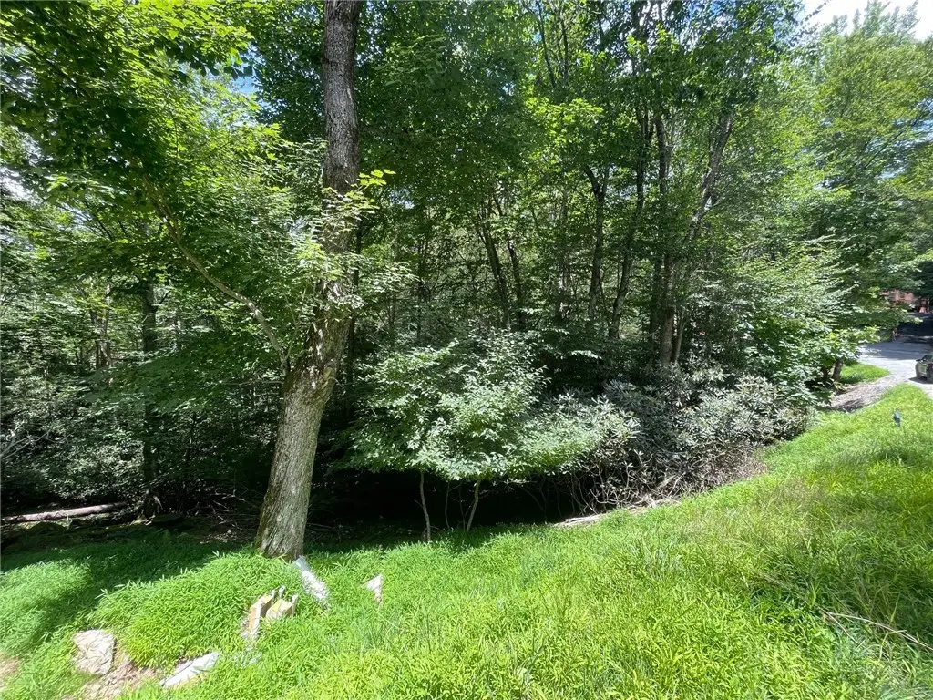 252 Greenbriar Road, Beech Mountain, NC 28604 - #1