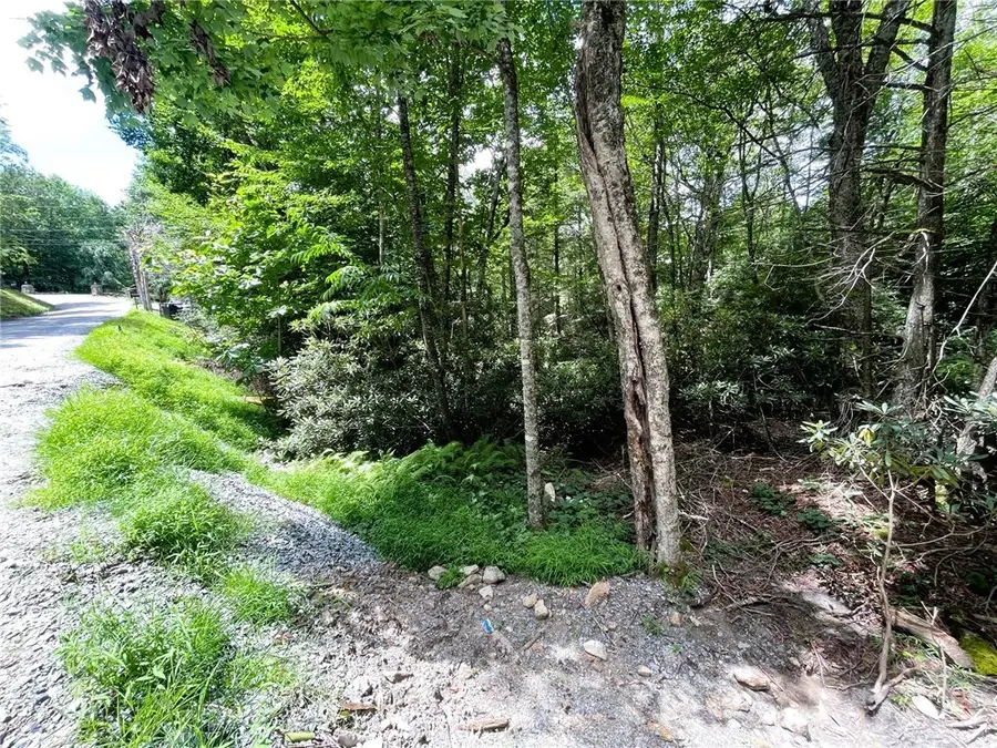 252 Greenbriar Road, Beech Mountain, NC 28604 - #2