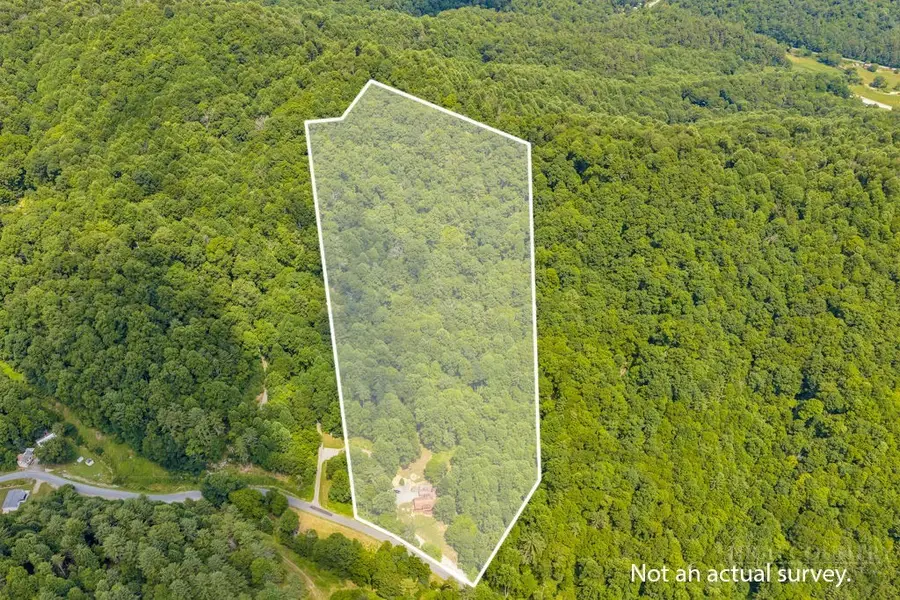 488 Wards Branch Road, Sugar Grove, NC 28679 - #2