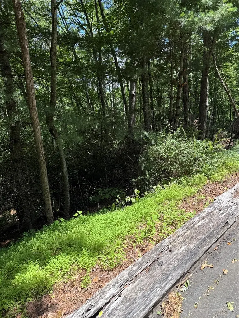 TBD Deerwood Road #58, Piney Creek, NC 28675 - #1
