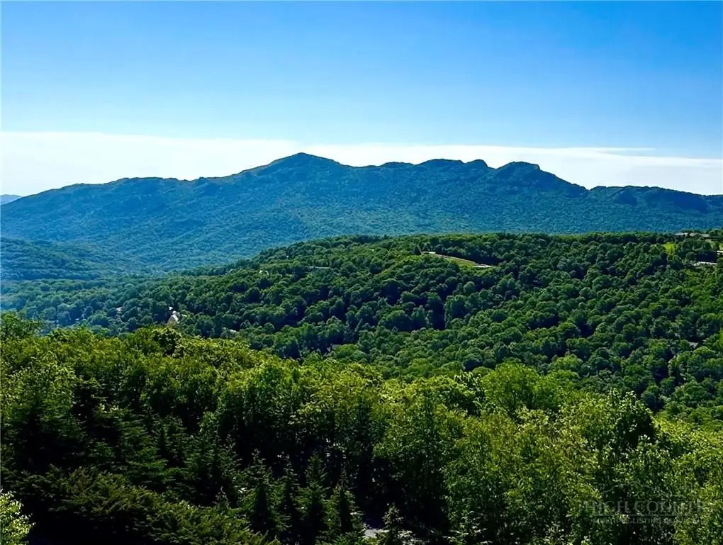 303 Sugar Top Drive #2302, Sugar Mountain, NC 28604 - #1