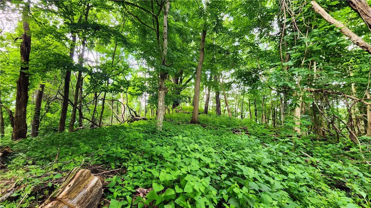 TBD Beech Mountain Road, Elk Park, NC 28622 - #1