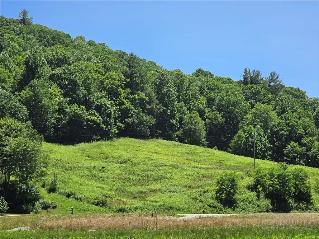 Lot 12 Elk River Road, Elk Park, NC 28622 - #1