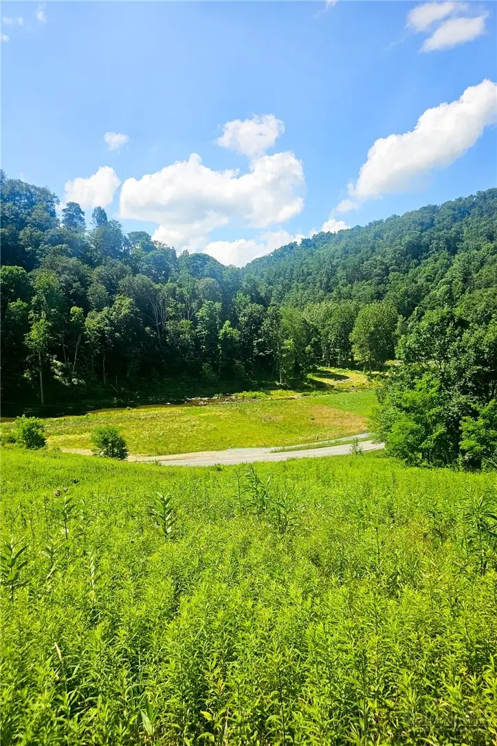 Lot 12 Elk River Road, Elk Park, NC 28622 - #2