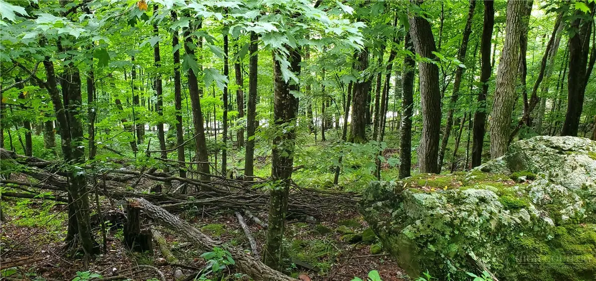 lot 81 Throncliff Drive, Seven Devils, NC 28607 - #1
