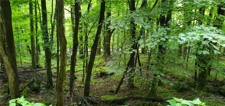 lot 81 Throncliff Drive, Seven Devils, NC 28607 - #3