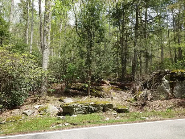 TBD Evergreen, Boone, NC 28607