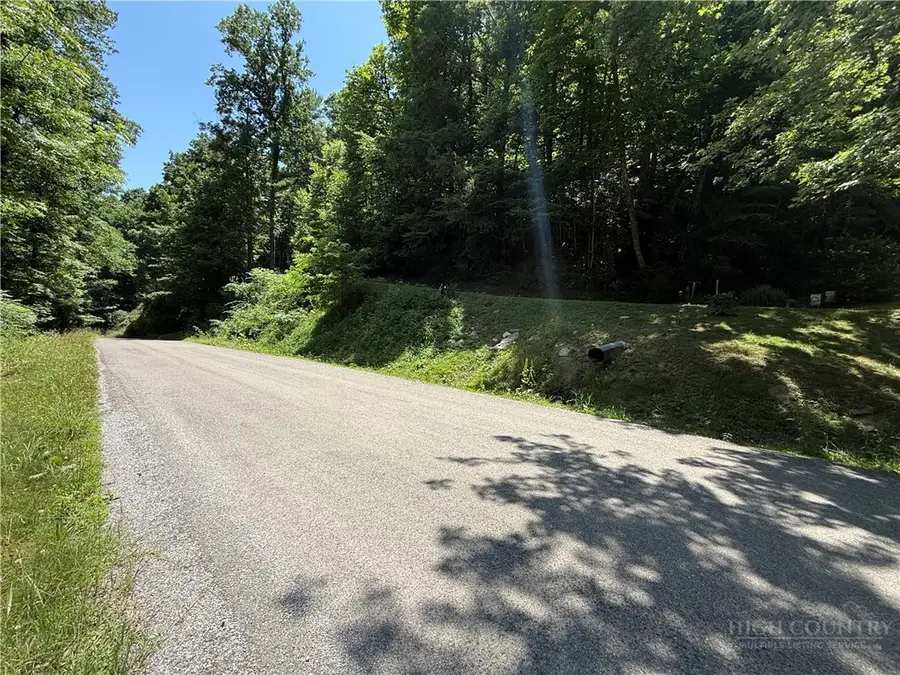 tbd Council Ward Road, Sugar Grove, NC 28679 - #3