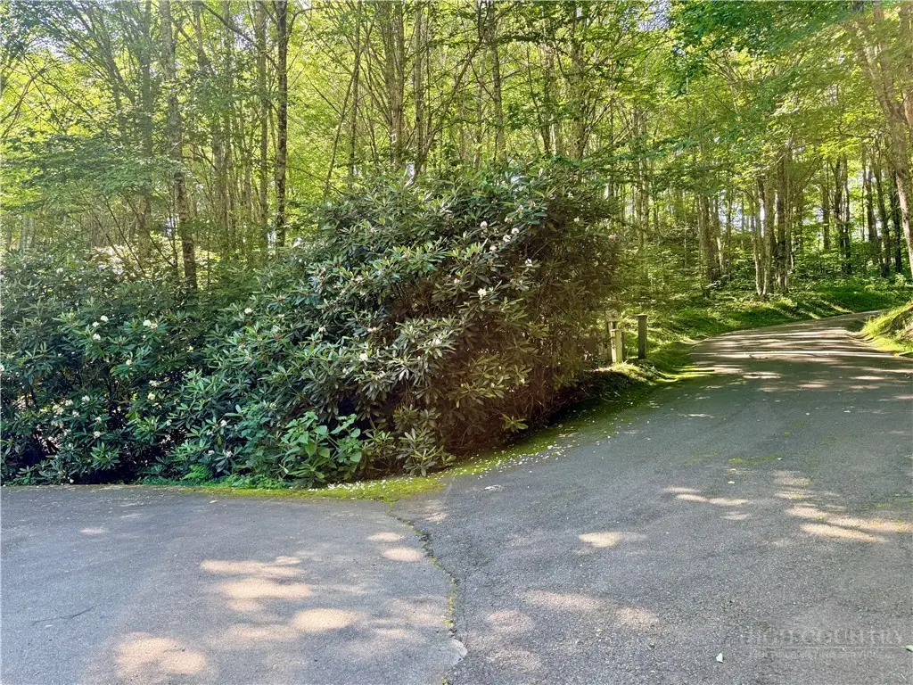 TBD Chestnut Mountain Road, Banner Elk, NC 28604 - #1