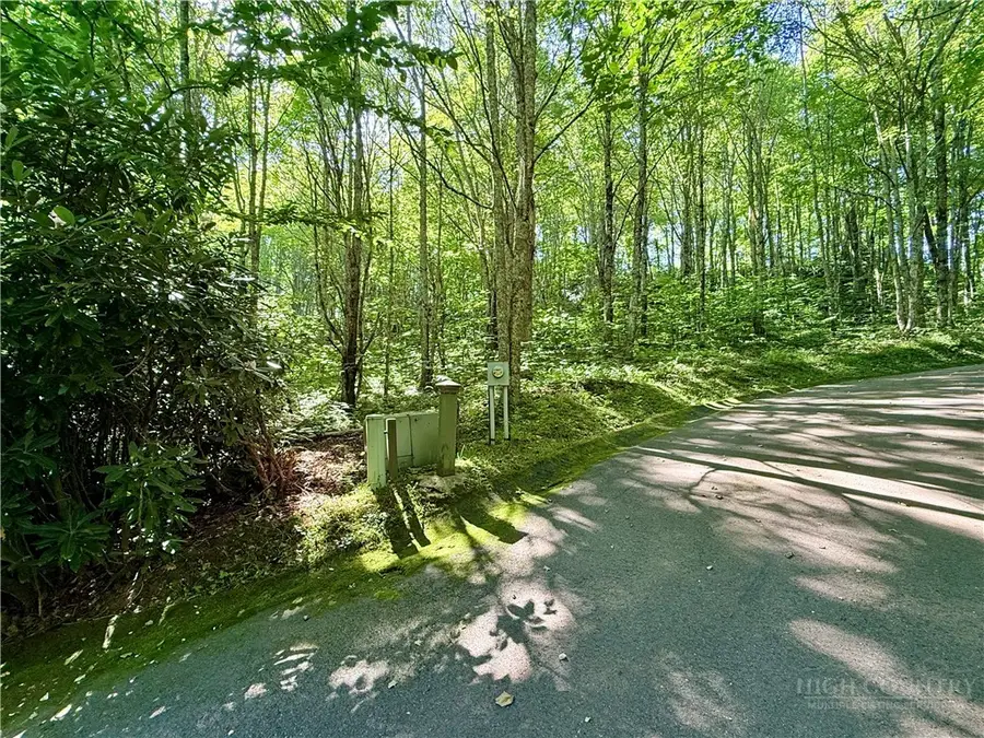 TBD Chestnut Mountain Road, Banner Elk, NC 28604 - #2