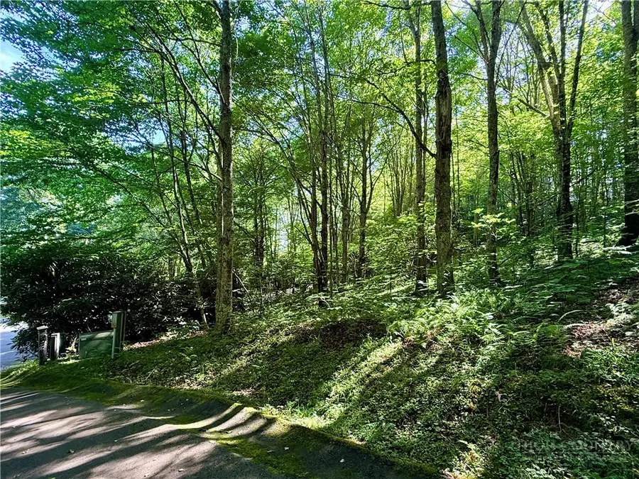 TBD Chestnut Mountain Road, Banner Elk, NC 28604 - #3